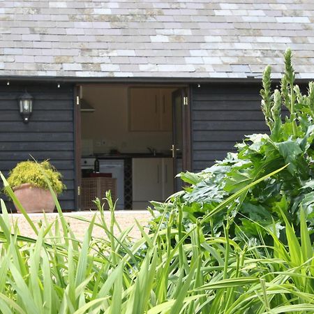 Five Cottages In Aonb Ашфорд Екстериор снимка